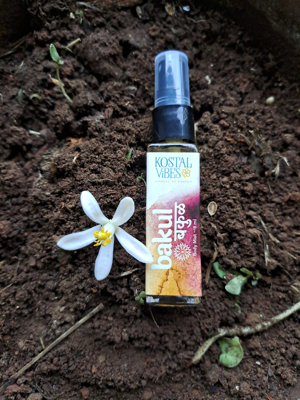 WhatsApp Image 2023-09-04 at 4.39.10 PM (1)