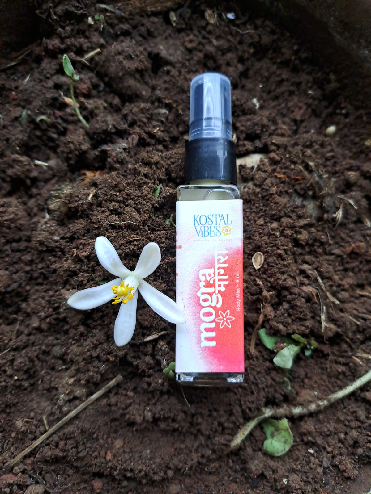 WhatsApp Image 2023-09-04 at 4.39.10 PM